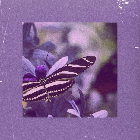 Violet | Boomplay Music