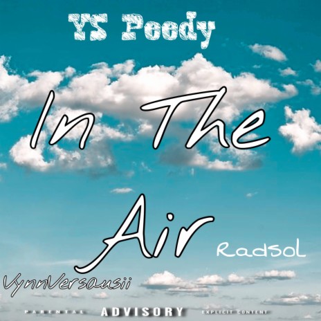 In The Air ft. Radsol & Vynn Versausii | Boomplay Music