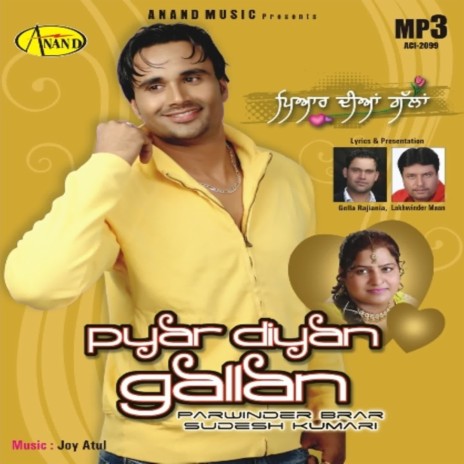 Punjabi ft. Sudesh Kumari | Boomplay Music