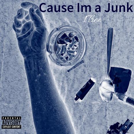 Cause Im a Junk | Boomplay Music