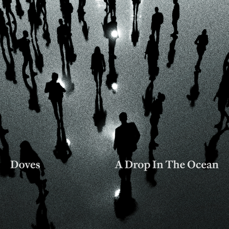 A Drop In The Ocean | Boomplay Music