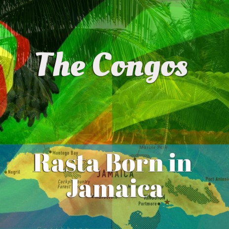 Rasta Born in Jamaica | Boomplay Music