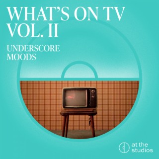 What's On TV Vol. II