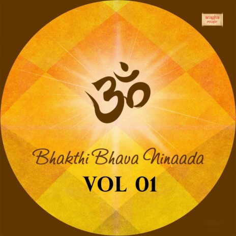 Krishna Krishna (feat. Praveen Rao & B M Prasad)