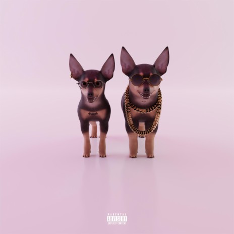 Pinscher ft. YDFWÑ | Boomplay Music