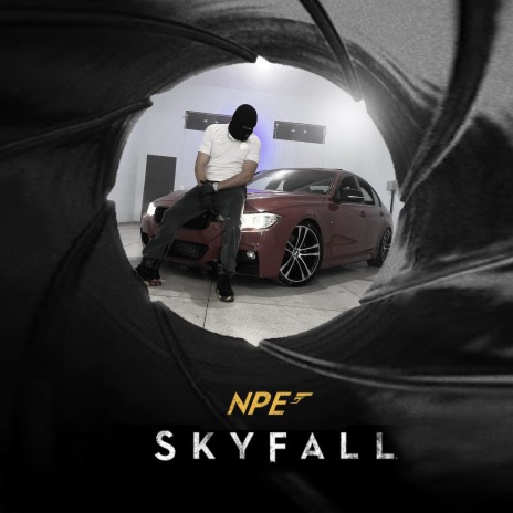 SKYFALL | Boomplay Music