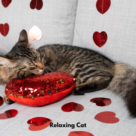 Cat Lounge Harmonies ft. Calming Music for Cats & Cat Music | Boomplay Music