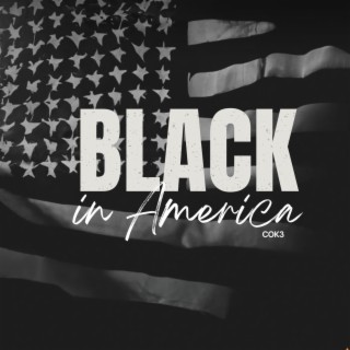 Black in America