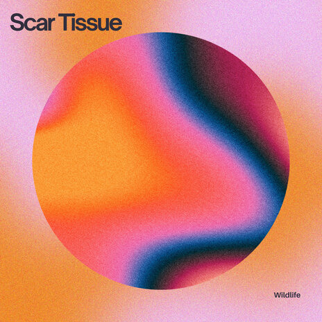 Scar Tissue | Boomplay Music