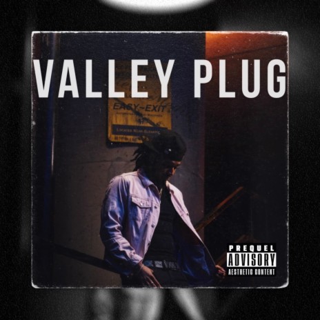 Valley Plug