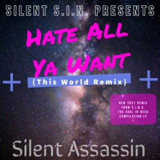 Hate All Ya Want (This World Remix)