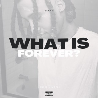 What Is Forever? lyrics | Boomplay Music