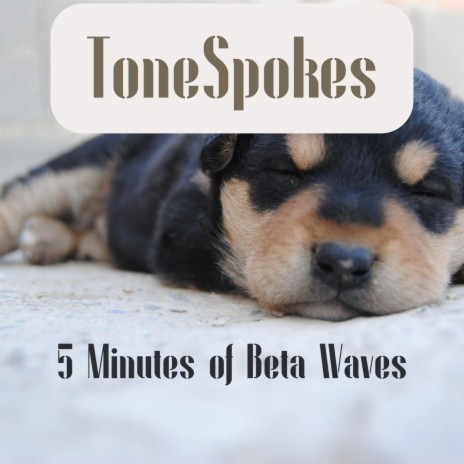 5 Minutes of Beta Waves | Boomplay Music