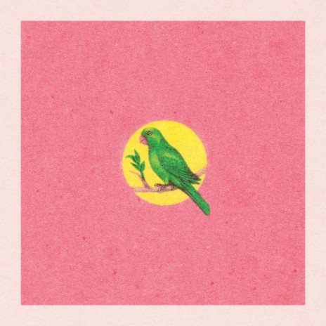 Your Garden Birds | Boomplay Music