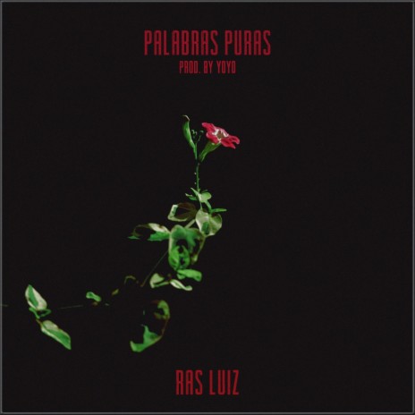 Palabras Puras | Boomplay Music