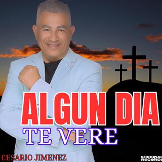 ALGÚN DÍA TE VERÉ