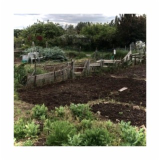 Allotment