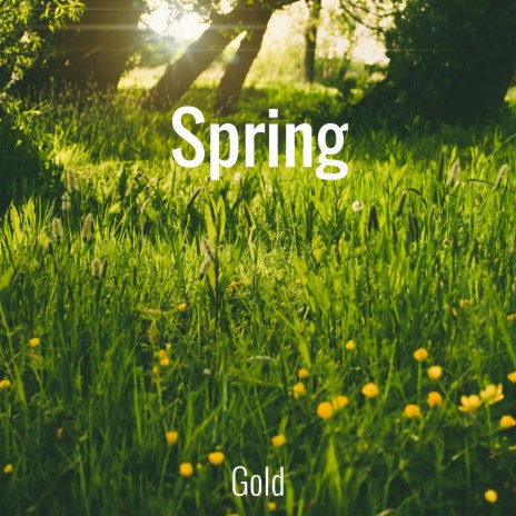 Spring | Boomplay Music