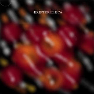 ERIPTERITHICA