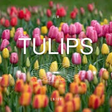 Tulips (Radio Edit) | Boomplay Music