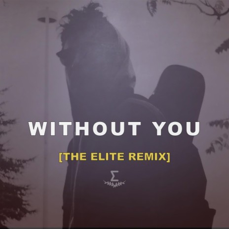 Without You (Remix) ft. The Elite | Boomplay Music