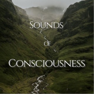 Sounds of Consciousness