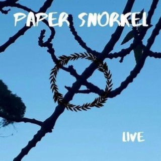 Paper Snorkel Live