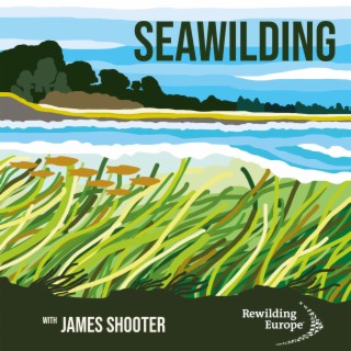 #2 Seawilding - Scotland