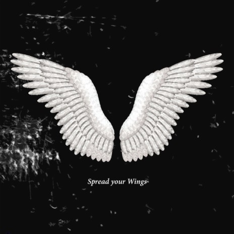 Spread your Wings | Boomplay Music