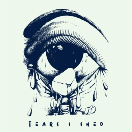 Tears I Shed (slowed + reverb) | Boomplay Music