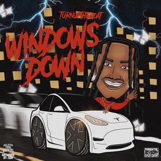 Windows Down