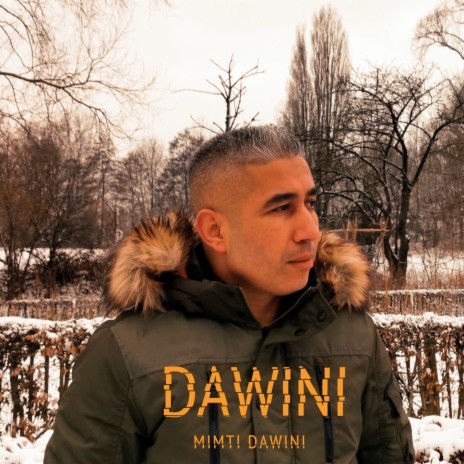 DAWINI MIMTI DAWINI | Boomplay Music