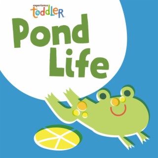 Toddler Beats: Pond Life