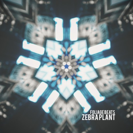 Zebra Plant | Boomplay Music