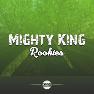 Mighty King lyrics | Boomplay Music