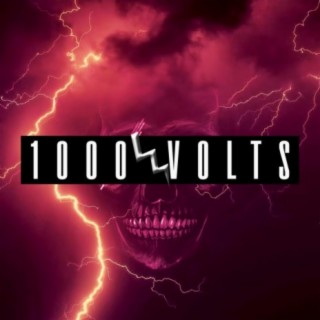 1000 VOLTS