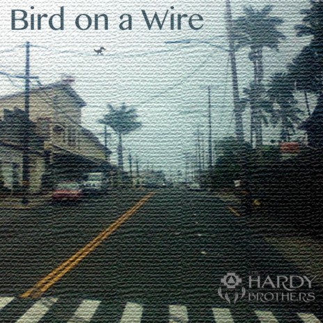 Bird On A Wire | Boomplay Music