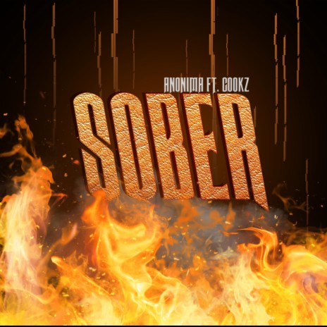 Sober ft. Cookz | Boomplay Music