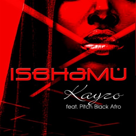 Isbhamu (feat. Pitch Black Afro) | Boomplay Music