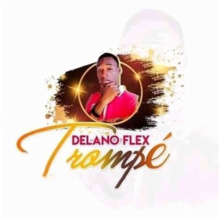 Delano Flex