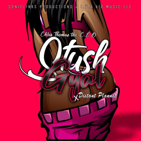 Stush Gyal ft. Distant Plannet | Boomplay Music