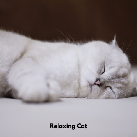 Purring Serenades ft. Cats Music Den & Cat Relaxation | Boomplay Music