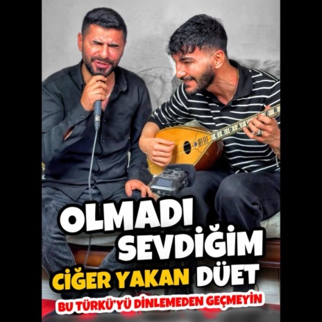 OLMADI SEVDİĞİM ERDAL ERDOĞAN & SABRİ ÖRGE (GRUP ERDOĞANLAR) | Boomplay Music