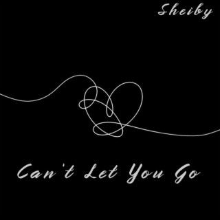 Can't Let You Go lyrics | Boomplay Music