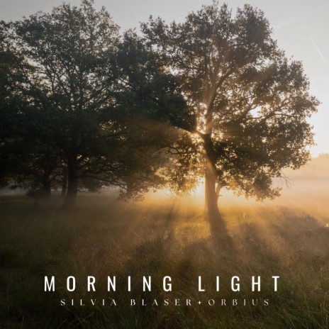 Morning Light ft. Silvia Blaser | Boomplay Music