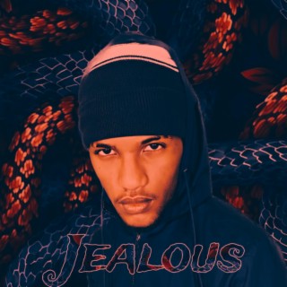 JEALOUS lyrics | Boomplay Music