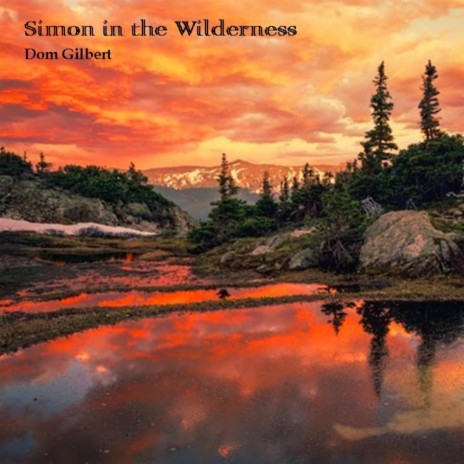 Simon in the Wilderness