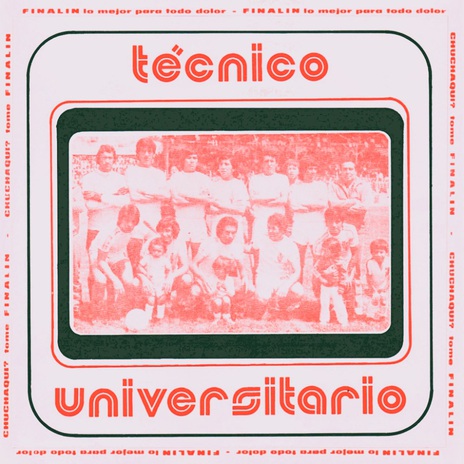 Técnico Universitario