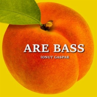 Are BASS