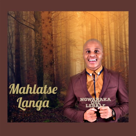 Ngwanaka Ose Lebale | Boomplay Music